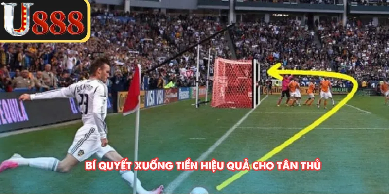 Bí quyết xuống tiền hiệu quả cho tân thủ 