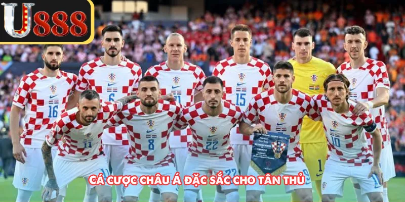 Cá cược châu Á đặc sắc cho tân thủ 