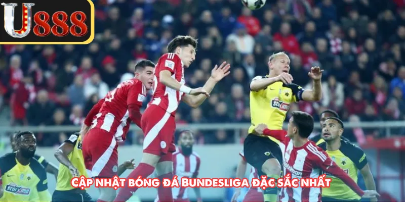 Cập nhật bóng đá Bundesliga đặc sắc nhất 