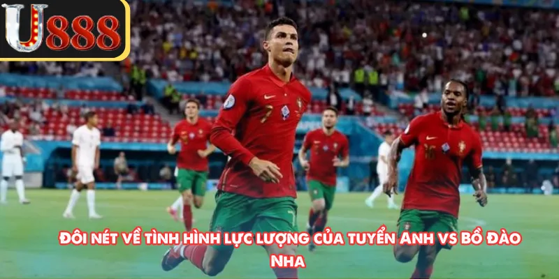 Đôi nét về tình hình lực lượng của tuyển Anh vs Bồ Đào Nha 
