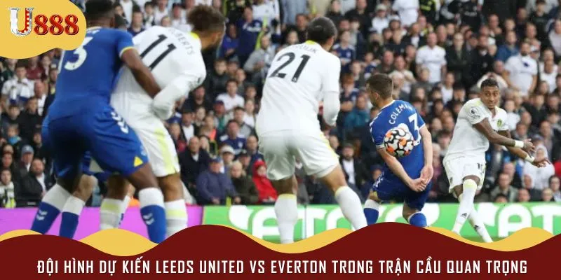 Lực lượng hai đội  trong trận cầu Leeds United vs Everton
