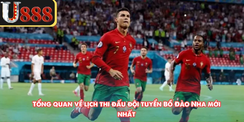 Tổng quan về lịch thi đấu đội tuyển Bồ Đào Nha mới nhất 